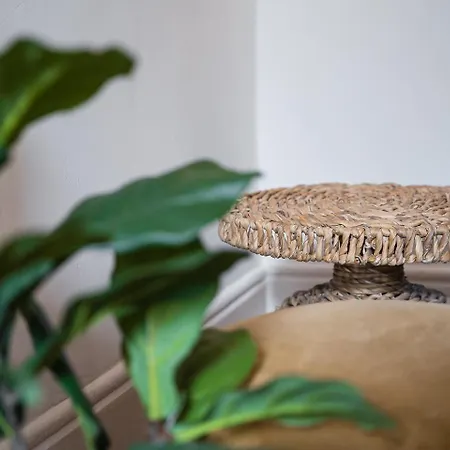 Guestready - Alegria Building דירה *